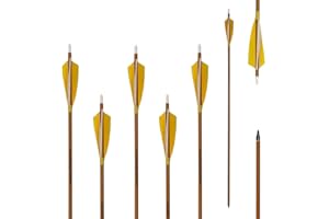 Letszhu Archery Carbon Arrows 500 Spine with Helical Real Feathers and Removable Tips for Compound Recurve Bow (6 Pack)