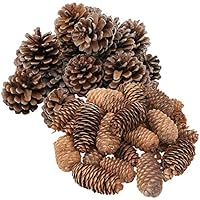 handrong 46 Pine Cones Assorted Size Natural Pinecones for DIY Crafts Christmas Tree Hanging Ornaments Holiday Party Home Decoration Bowl Vase Filler