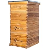 BeeCastle 10 Frame Langstroth Bee Hive Coated with 100% Beeswax Includes Beehive Frames and Waxed Foundations (2 Deep Boxes & 2 Medium Boxes)
