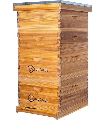 Amazon.com: Little Giant® 10-Frame Deluxe Beginner Hive Kit
