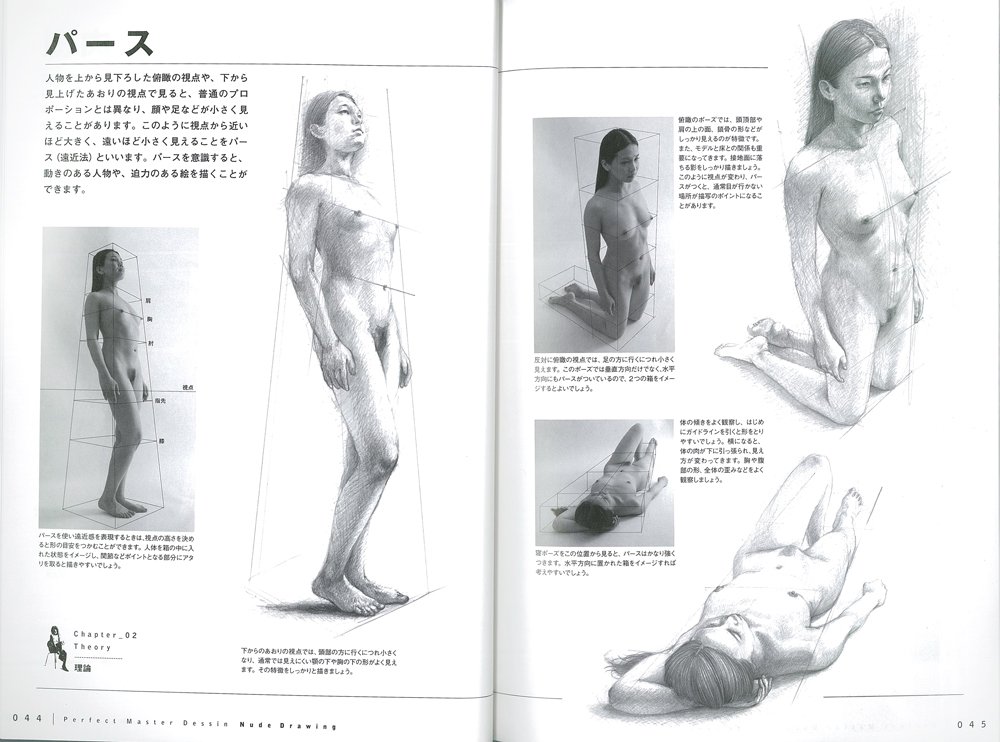 パーフェクトマスターデッサン 裸婦の描き方 光と影に重点を置いて 女性の裸を正しく美しく描くための技法書 Amazon Co Uk Books