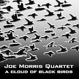 CLOUD OF BLACK BIRDS                               image