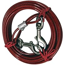 Amazon.com : IIT 99914 Dog Tie-Out Cable - 20 Feet : IIT