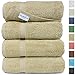 SALBAKOS 100% Turkish Cotton Bath Towel Set of 4 27x54 inch | Heirloom Quality | Hotel & Spa Collection | Ultra Soft, Super Absorbent, Long Lasting Bath Towels | Made in Turkey (Taupe, 4 Bath Towels)