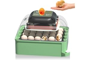ZOHOKO Incubators for Hatching Eggs - 24 Egg Incubator with Automatic Egg Turning and Humidity Control, and Panoramic 360° View for Hatching Chickens (Green)