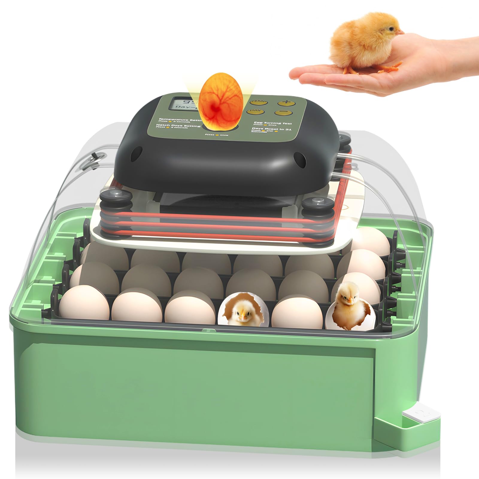 thumbnail interactive-video image 1 of Sailnovo Digital Egg Incubator – 12/18/24/56 Egg Capacity, Automatic Turning, 360° View 1 of 2