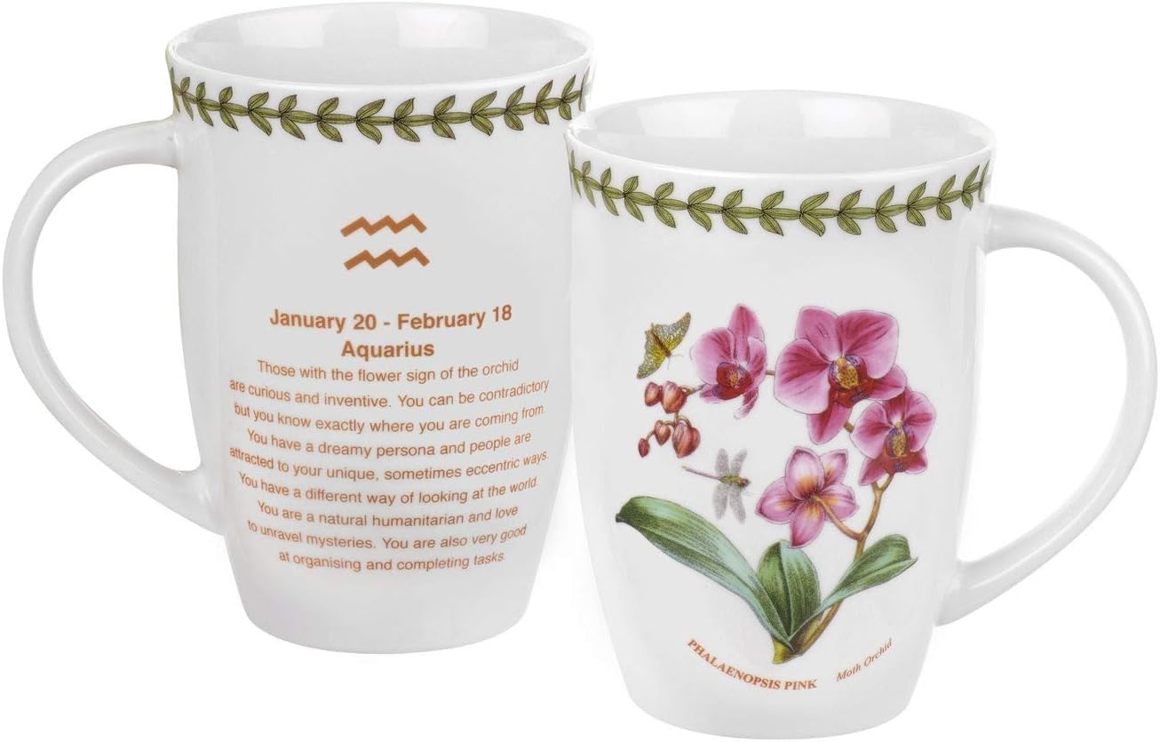 Amazon Com Portmeirion Botanic Garden Zodiac Aquarius Mug 206