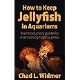 How to Keep Jellyfish in Aquariums: An Introductory Guide for Maintaining Healthy Jellies