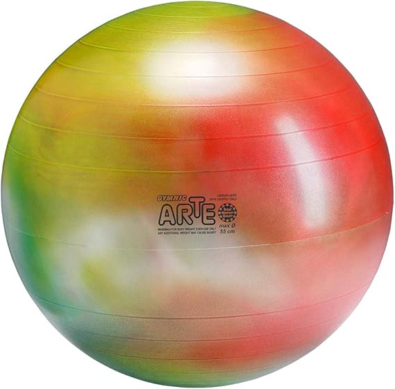 Gymnic Arte Plus BurstResistant Exercise Ball (55 cm) Amazon.ca
