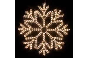 Wintergreen Lighting 24" LED Snowflake Light Christmas Decorations Outdoor Snowflake Christmas Lights, Christmas Snowflake, LED Rope Light (40 Point Snowflake, Warm White LED)