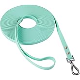 AUMAILI Dog Training Long Leash Waterproof Long Line Heavy Duty Outdoor Recall Lead 10ft 15ft 20ft 30ft 50ft for Small Medium Large Dog (Mint Green, 10FT)