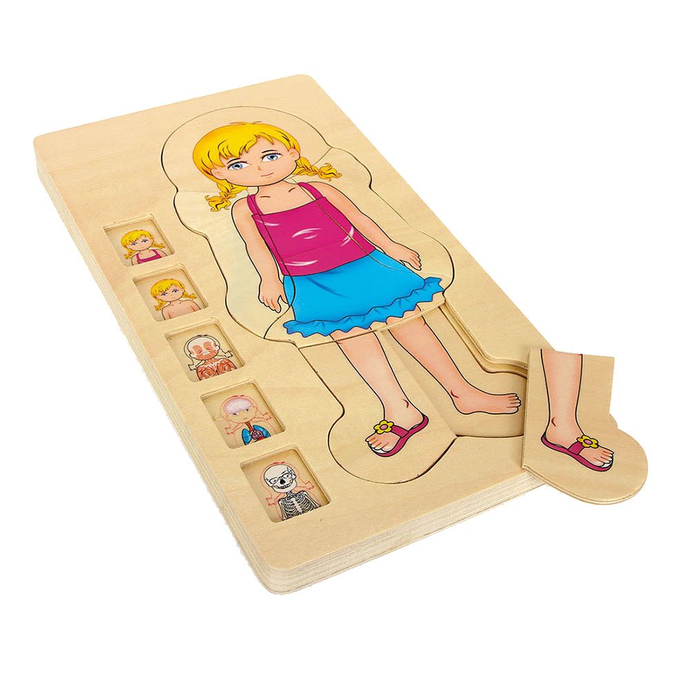 small foot 5814 Puzzle "Anatomy Girl" made of wood, 29 pcs. with five layers, from 3 years old