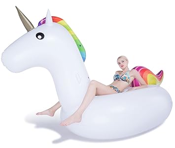 Image result for unicorn float