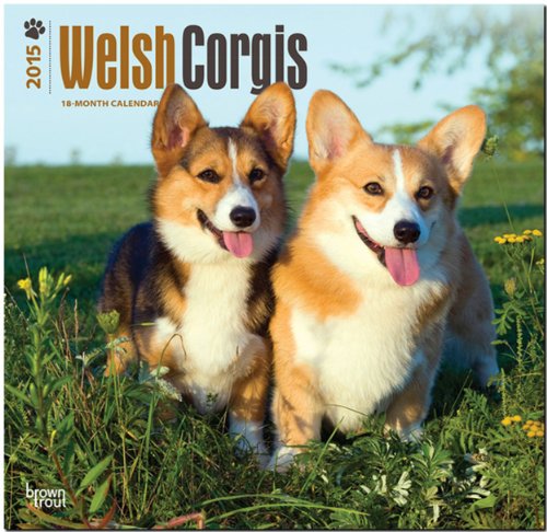 Welsh Corgis 2015 Square 12x12 (Multilingual Edition) Welsh Corgis 2015 Square 12x12 (Multilingual Edition)