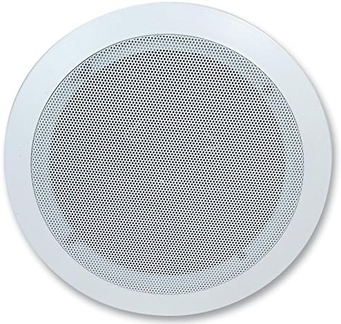 enclosed ceiling speakers