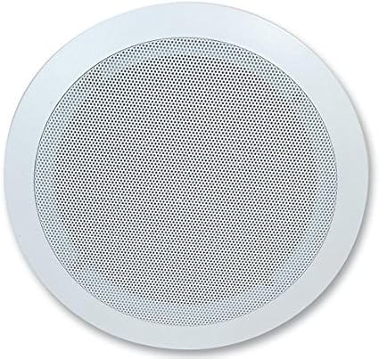 enclosed ceiling speakers