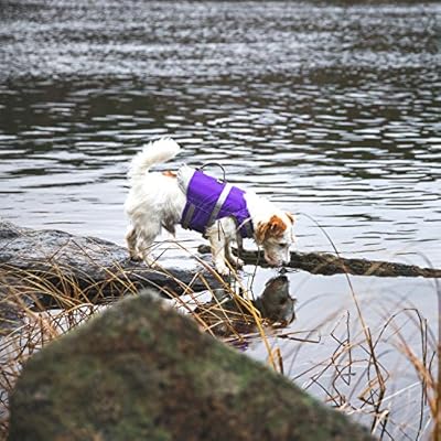 hurtta dog life savior jacket