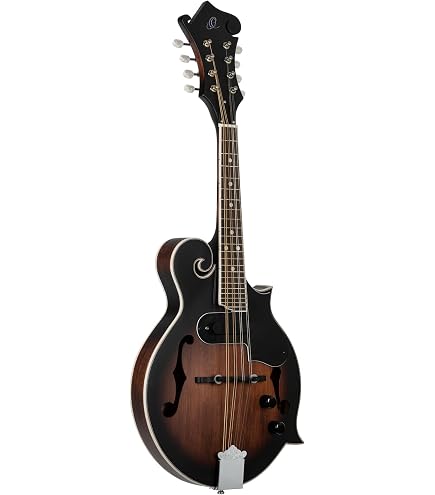 Amazon.com: Ortega Raven Series F-Style Acoustic-Electric Mandolin