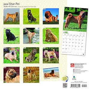 Shar Pei 2018 12 x 12 Inch Monthly Square Wall Calendar, Animals Dog Breeds (Multilingual Edition)