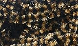 Hareline Dubbin Fly Fish Food Small Stonefly Chenille