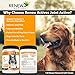 Renew Actives Organic Turmeric Joint Supplement for Dogs - Advanced Canine Support for Hip, Joint & Cartilage Health - Natural Mobility Formula with 120 Chewable Soft Treats