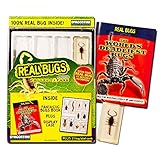 DeAgostini Real Bugs: Collect-a-Case