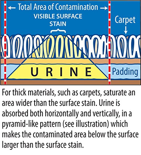 STINK FREE Instantly Urine Odor Remover for Cat Urine, 128 Oz (1 Gallon)