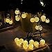 WishWorld Outdoor Solar Fairy String Lights, Waterproof Globe String Lights, 20ft 30 LEDs Christmas Lights Decorative Lighting for Indoor, Gardens, Party, Patio and Holiday Decorations(Warm White)
