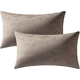 DEZENE Lumbar Pillow Covers 12x20 Taupe: Pack of 2 Cozy Soft Velvet Rectangular Modern Luxury Decorative Throw Pillow Cases for Sofa Couch Living Room Bed Home Decor