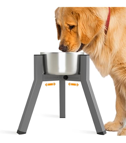 best cat litter box for odor control australia Neakasa M1 Self-Cleaning Cat Litter Box