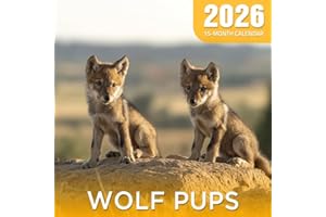 Wolf Pups 2026 Calendar