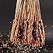 Sinen 6 Inch 250 pcs Sturdy Natural Bamboo Skewers for Shish Kabob, Grill, Appetizer, Fruit, Corn, Chocolate Fountain