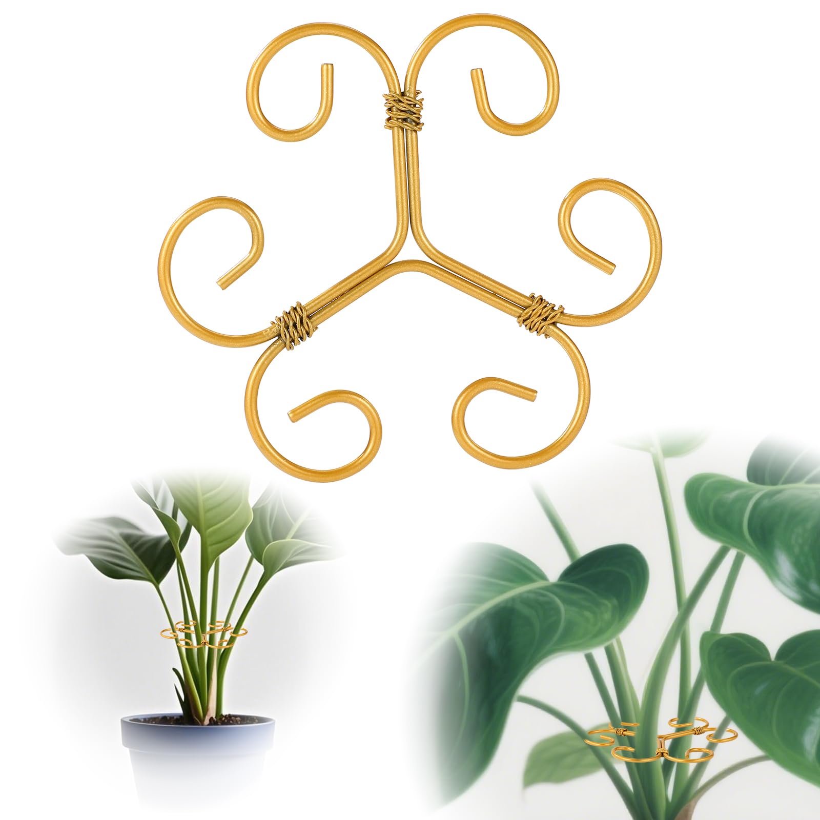 Photo 1 of Lyreh 3 Pcs Monstera Plant Grapple Support, Heart Shaped Plant Support Stakes Stem Durable Stabilizer Grapple Holder for Outdoor and Indoor Planting Flowers Thriving Growth
