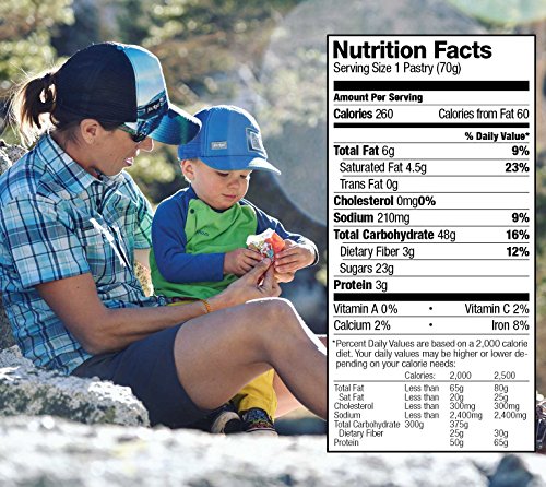 3 Bobos+TOASTeR+Blueberry+Poppyseed+Bars