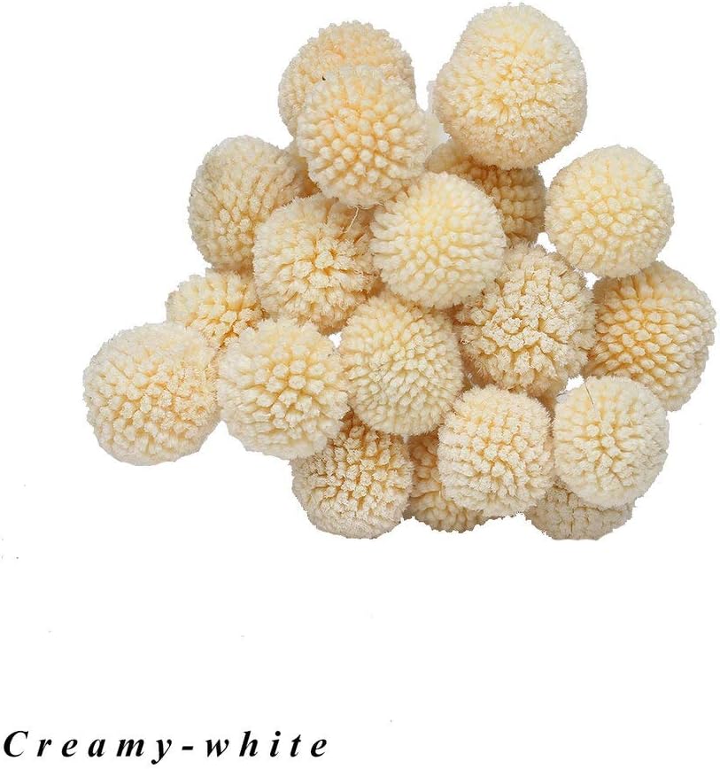 INVISIKAYAK Craspedia globosa 40pcs material flower immortal eternal flowers gift valentine,19 in