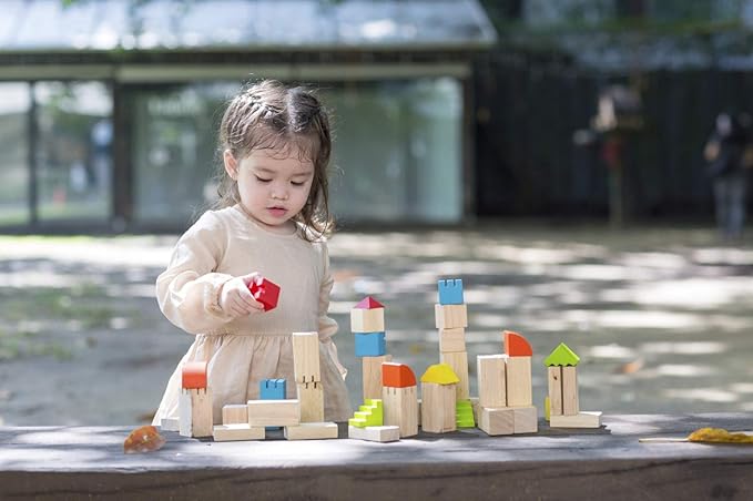 plan toys creative blocks