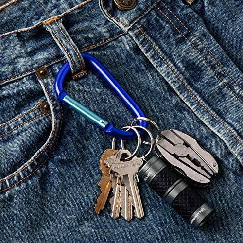6Pack Aluminum Carabiner 3 Inch, Blue D Shape Heavy Duty Buckle