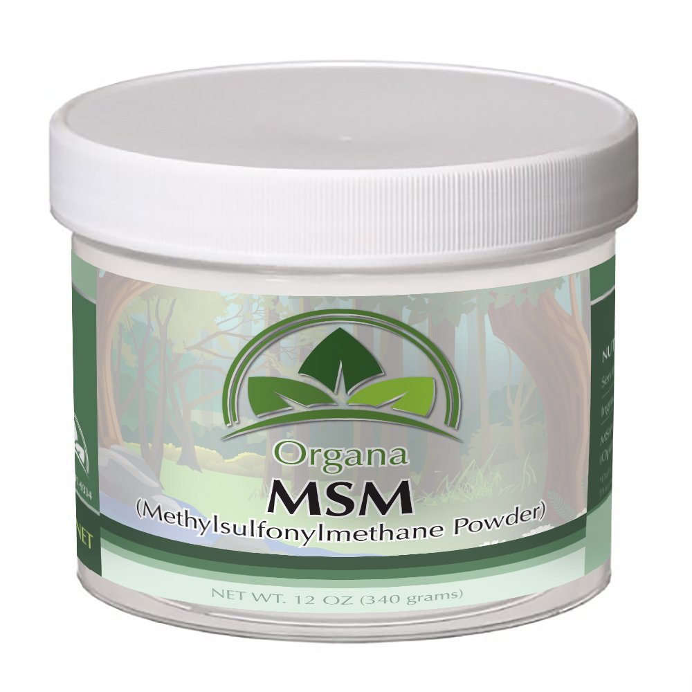 Buy Noche The Best MSM (Opti MSM) by Organa MSM Powder MSM for Hair
