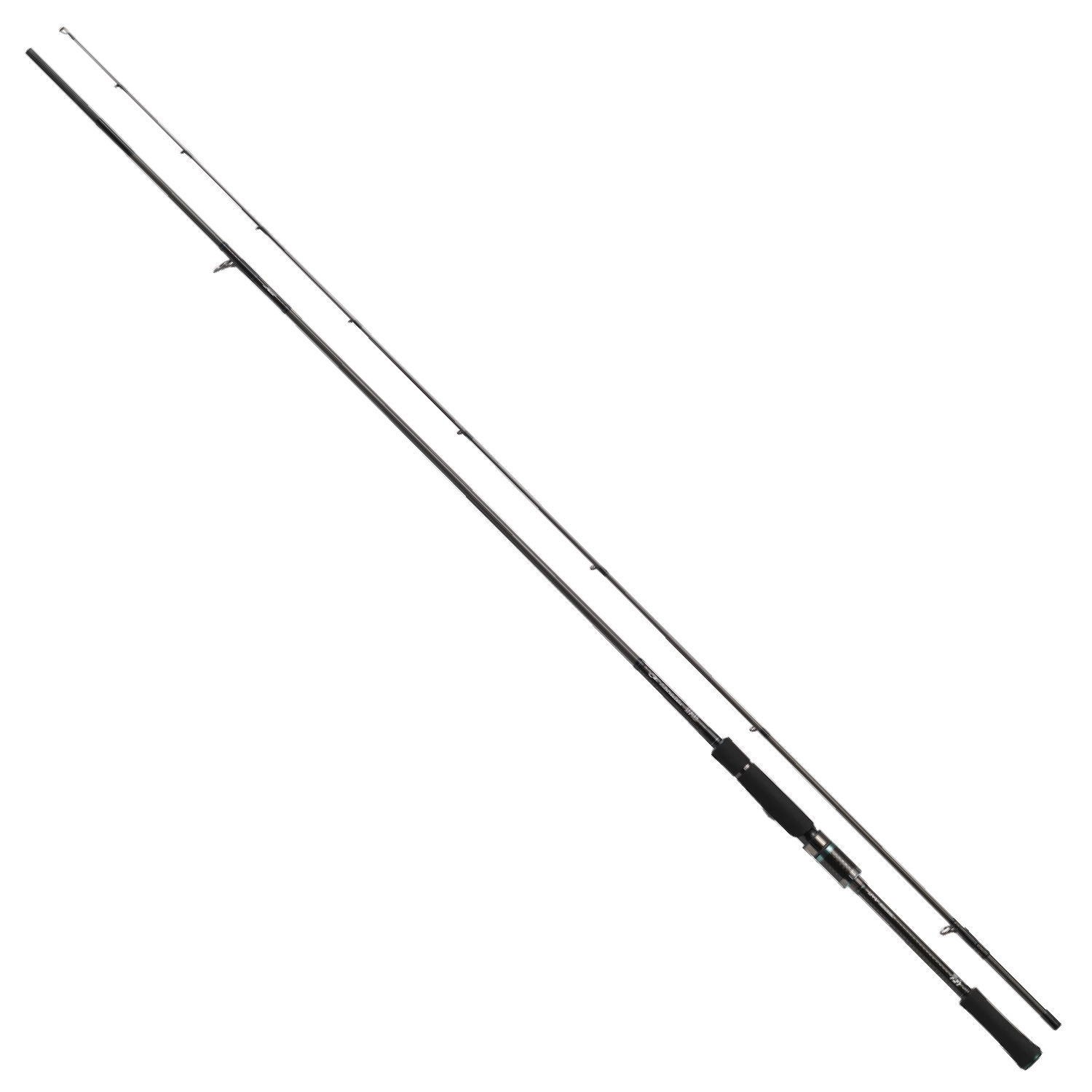 エギングでのアオリイカの釣り方を解説 重要な基礎も紹介 Fish Master フィッシュ マスター