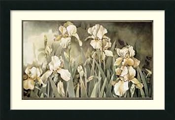 Amazon アイリスのフィールド Framedアートプリントbyリンダ