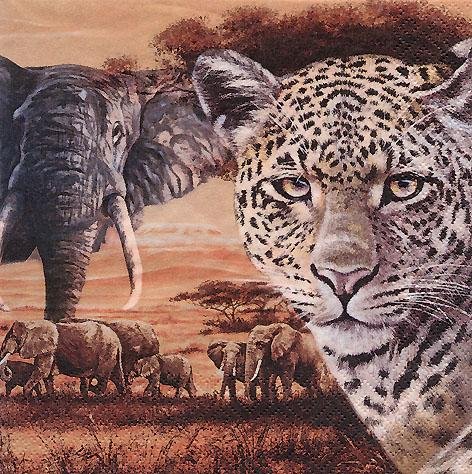 Anniversary House Tiflair Luxury Napkins Safari Animals Design, Thick and Strong Lunch Napkins 3 ply, PJ346072