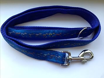 puppy carriers for walking