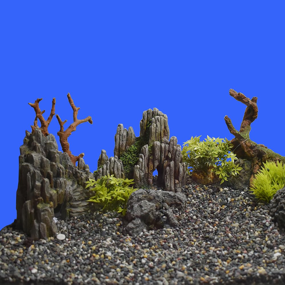 View 2
