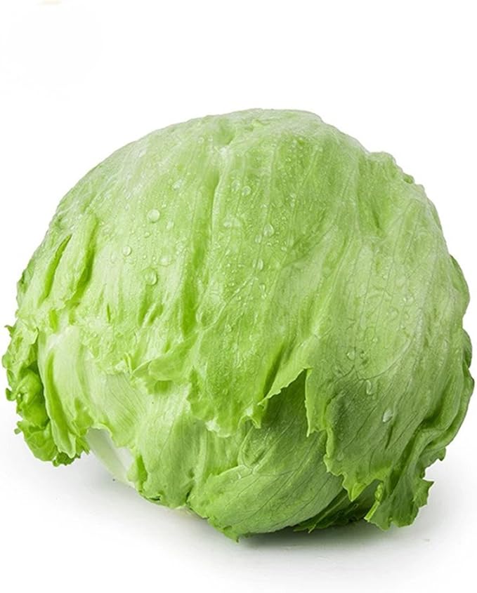 Vastravel Iceberg Lettuce NONGMO Vegetable 400 Seeds Amazon.co.uk
