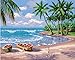Colour Talk DIY Oil Painting, Paint by Number kit- Sunny Beach 16x20 inch