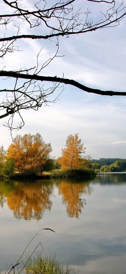 PeelitStickit, Beautiful Nature Wall Murals, ID-1417, vinyl