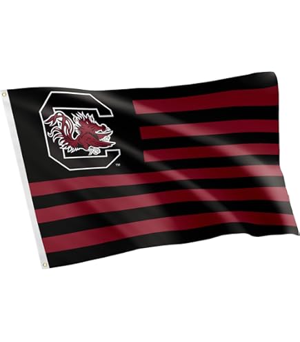 Wincraft South Carolina Gamecocks College Vault 27 X 37