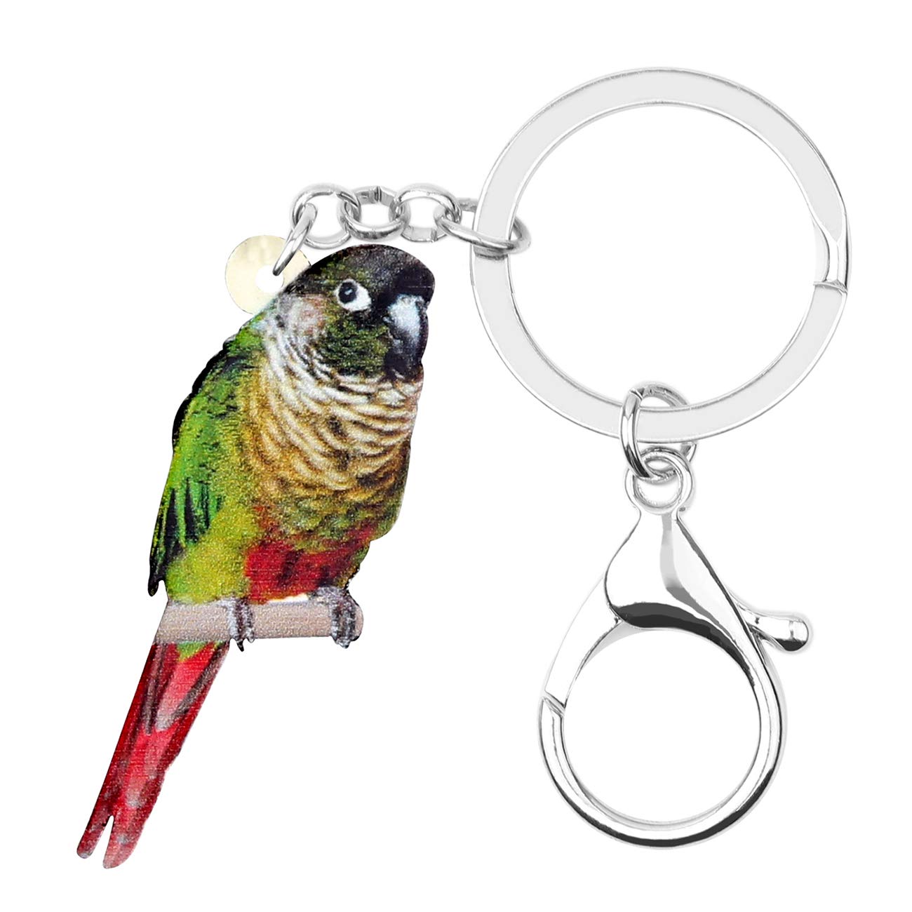 WEVENI Acrylic Green-cheeked Parakeet Keychain Crimson Rosella Parrot Charms Bird Jewelry For Women Girl (Multicoloured)