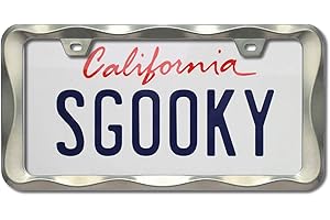 Sgooky 3D Curly Wave Pattern License Plate Holder Brush Nickel License Plate Frame from Pure Zinc Alloy Metal Perfect Plate H