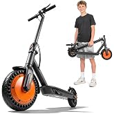 Fregogo Foldable Electric Scooter for Kids and Teens, Peak 500W Motor, 16Mph, 12 Miles Range, Dual Brakes, 8.5 Soild Tires, 264 Lbs Capacity, App Contral